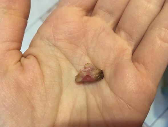 Этот способ поможет за 30 секунд отличить натуральное мясо от накаченного химией