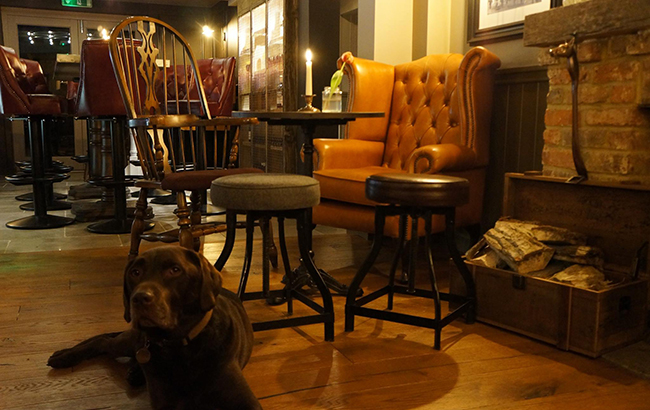 За кухлем пива: Меган Маркл і принца Гаррі засікли в дешевому пабі