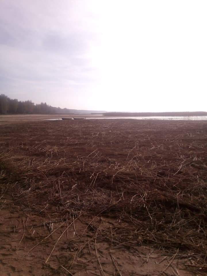 Популярне українське озеро катастрофічно зменшилося: екологи б'ють на сполох