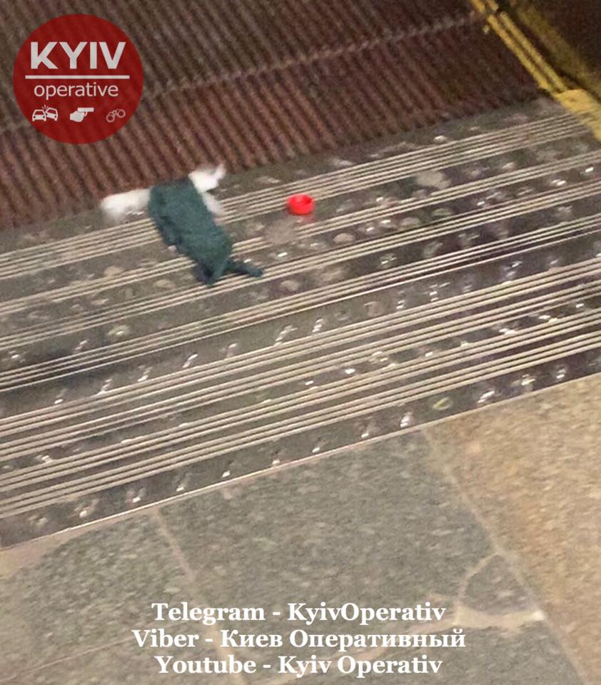 У метро Києва сталася НП на ескалаторі: не встигла вчасно встати