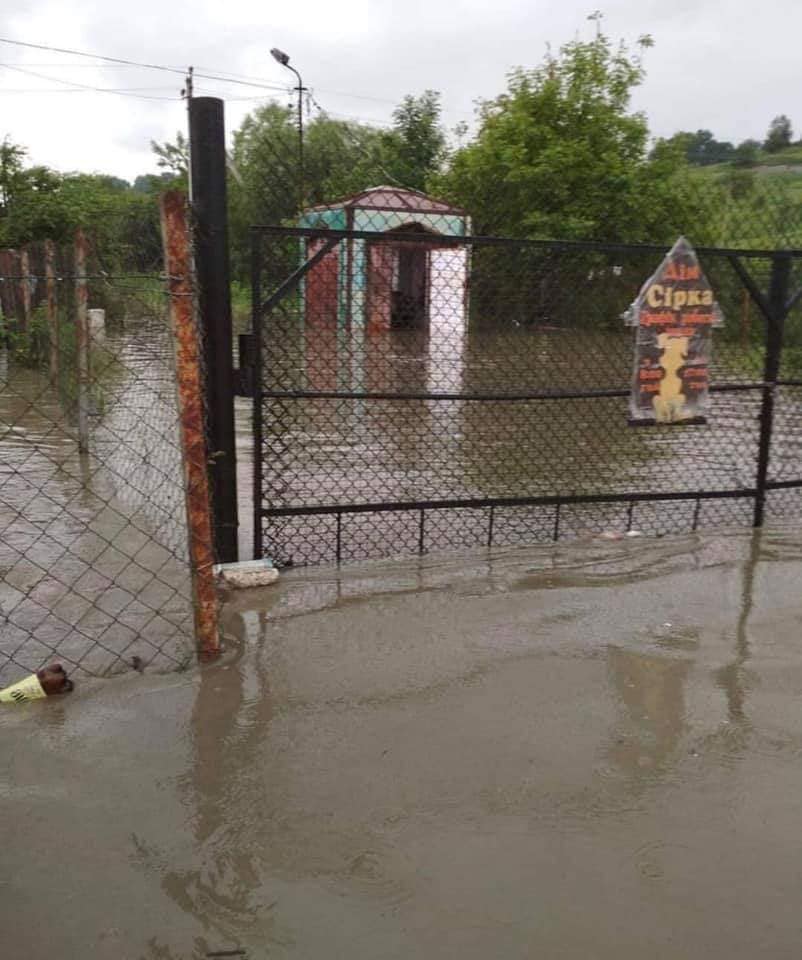 Под Ивано-Франковском затопило собачий приют: зоозащитники просят о помощи