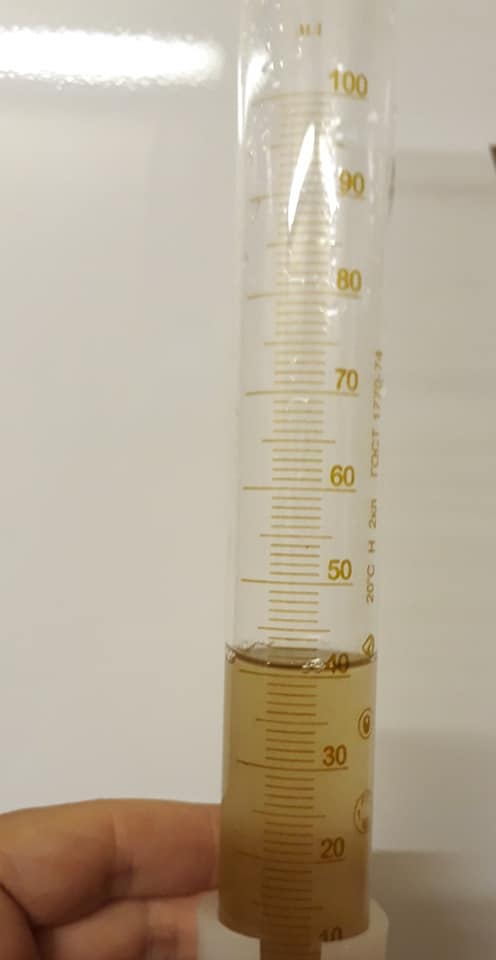 В Одессе море поменяло цвет, а ночью светится: названа причина феномена