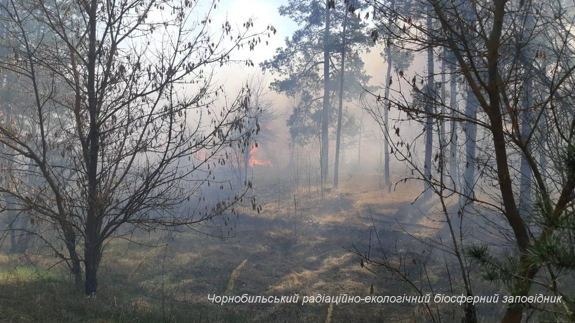 Світ краси став попелищем: дивовижні фото із зони відчуження до пожеж