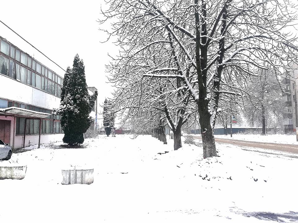 В Украину пришла сказочная зима: на фото попали невероятные пейзажи