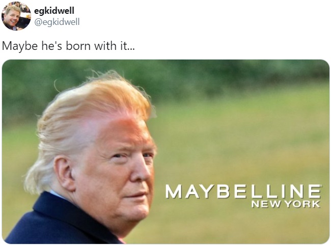 Дональд Трамп покидает Белый дом: самые смешные фото и видео 45-го президента США