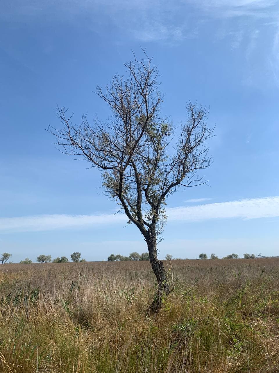 Топ-3 места для летнего отдыха в Украине, о которых вы, скорее всего, не знали