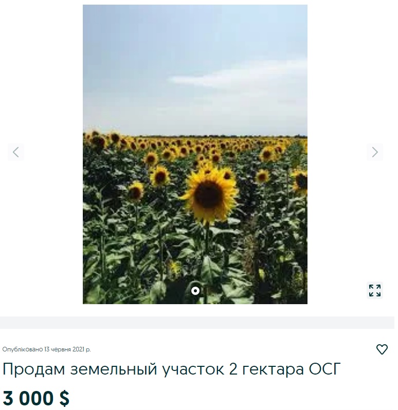 За сколько можно продать свои 2 га земли: цены в разных регионах Украины