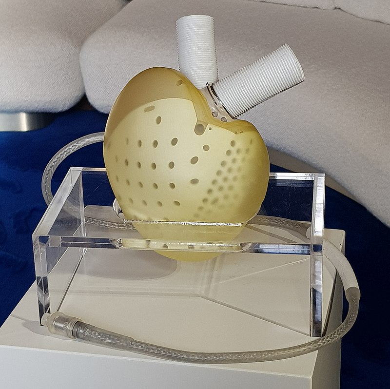 В США трансплантировали полностью искусственное четырехкамерное сердце