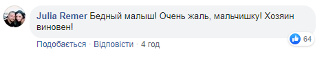 Возвращались из садика: в Киеве собака набросилась на мальчика с отцом и серьезно травмировала (фото)