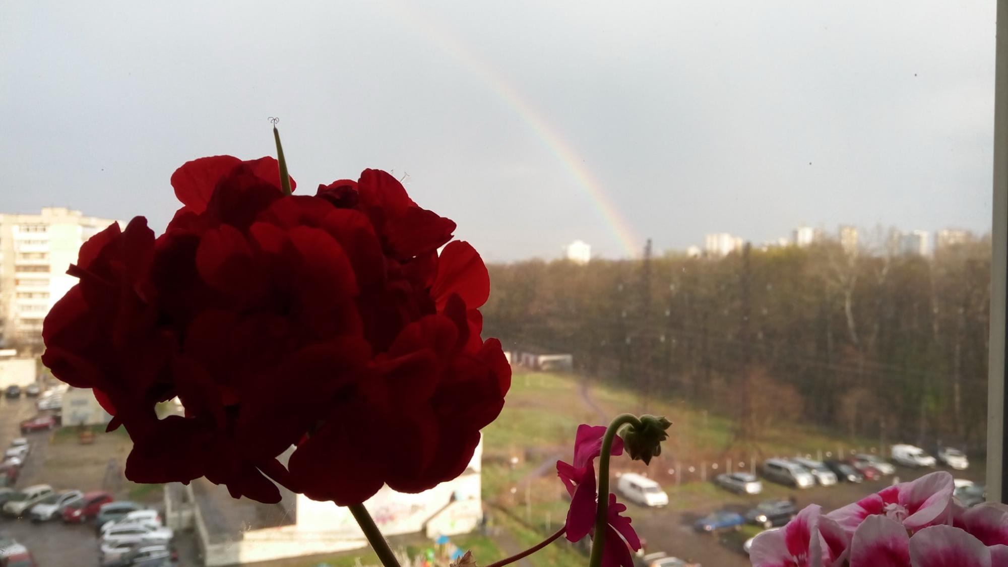 Над небом Киева раскинулась восхитительная радуга-мост: "весенняя природа незабываемая!" (фото)