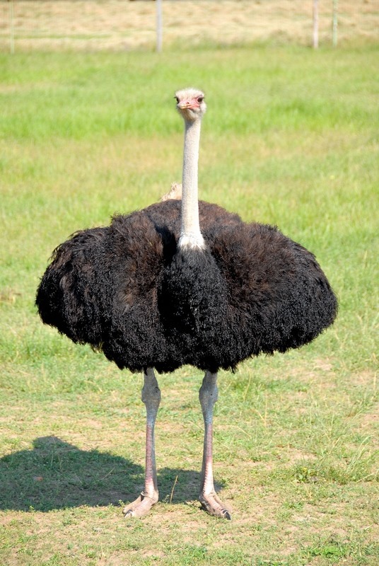 Куда отправиться, если на выходные вы остались в Киеве