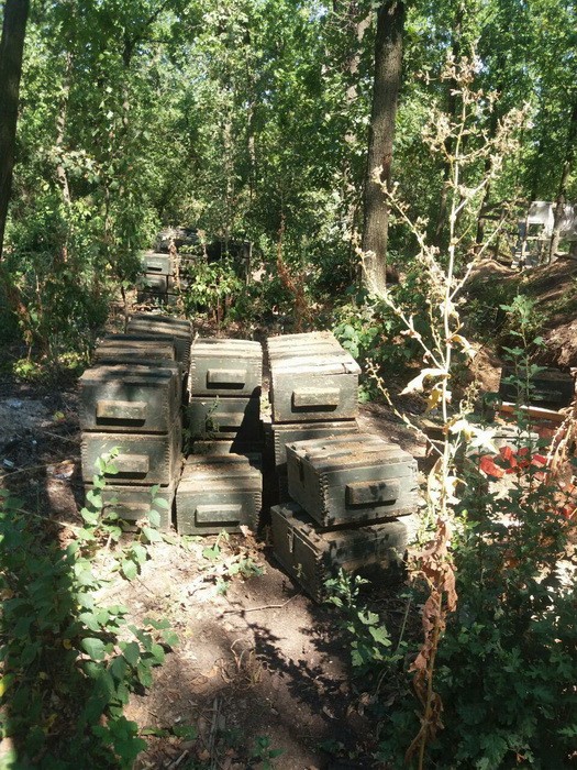 СБУ попередила диверсії в Донецькій обл. напередодні Дня незалежності