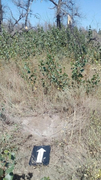 В Донецкой области боевики обстреляли жилой сектор