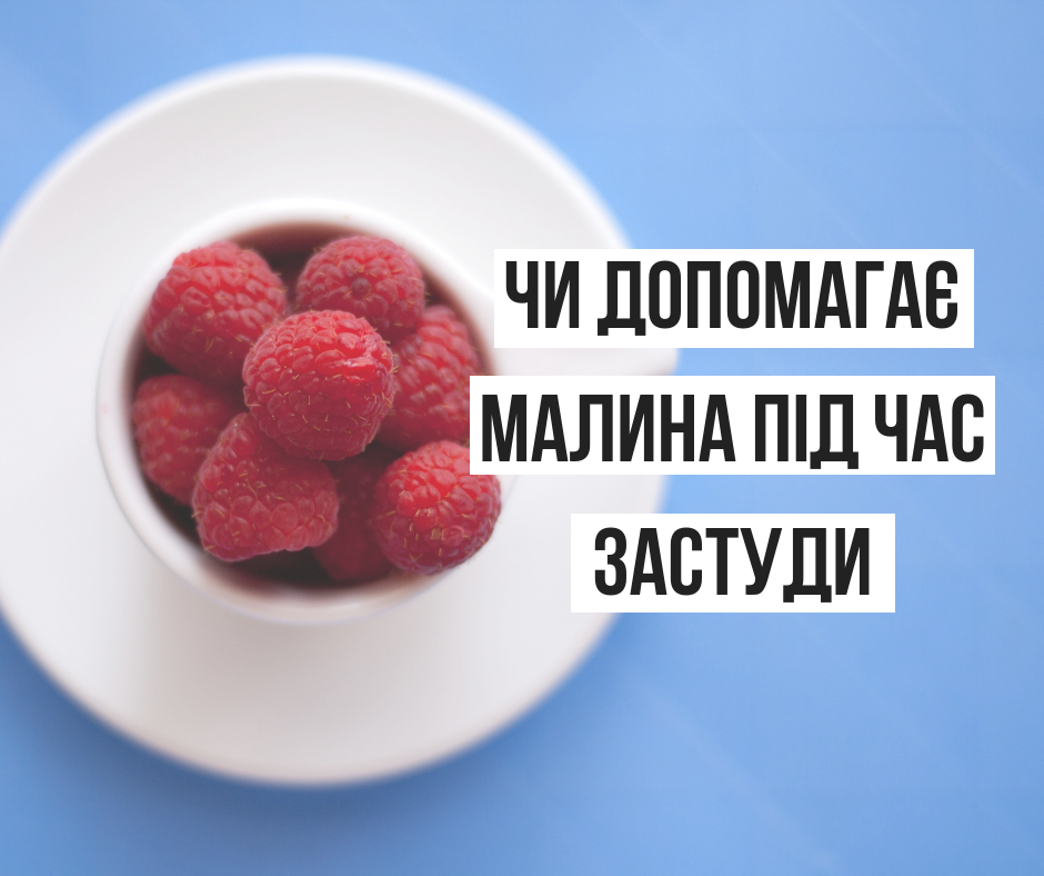 Лікування і профілактика застуди: Супрун розповіла про істинну користь малини
