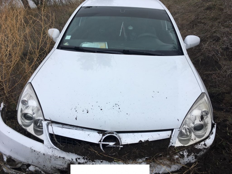 В Одесской области пограничники задержали разбойника из Молдовы