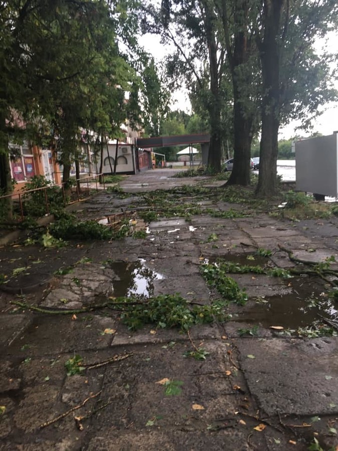 Закарпатье пострадало от мощного урагана: стихия наделала беды (видео)