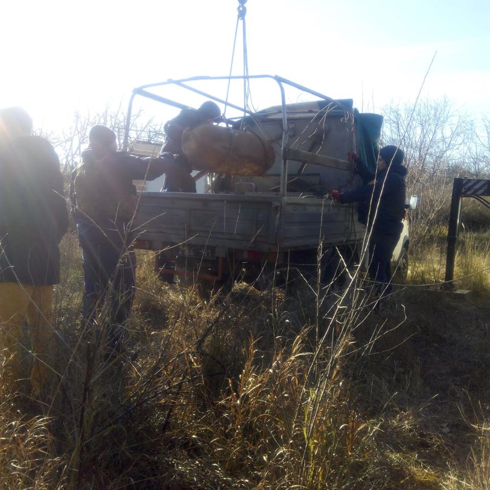 Поблизу Білої Церкви виявили три німецькі авіабомби