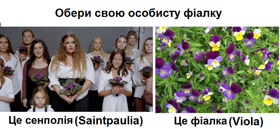 "Не та фіалка": вчені знайшли помилку в кліпі групи KAZKA