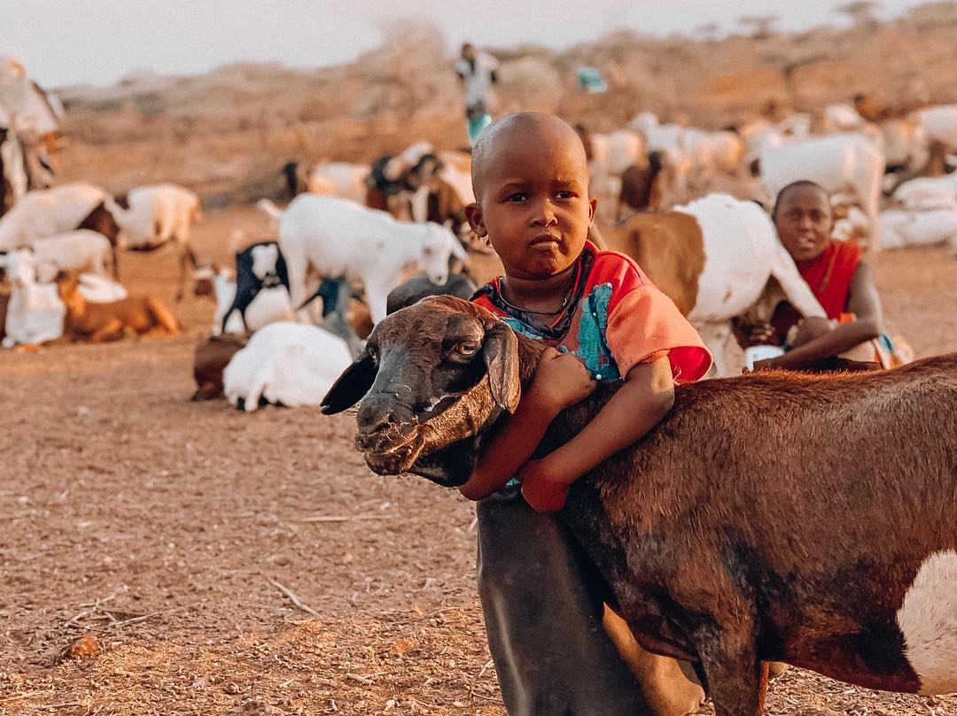 "По стопам Короля Льва": неожиданная удача Александра Скичко в Кении