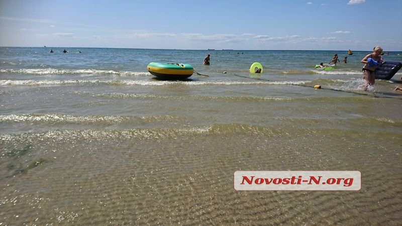 Туристы в шоке: на известном украинском курорте позеленел пляж (фото)