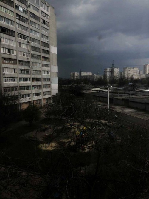 На Харьков обрушился мощный ливень со шквальным ветром: видео буйства стихии