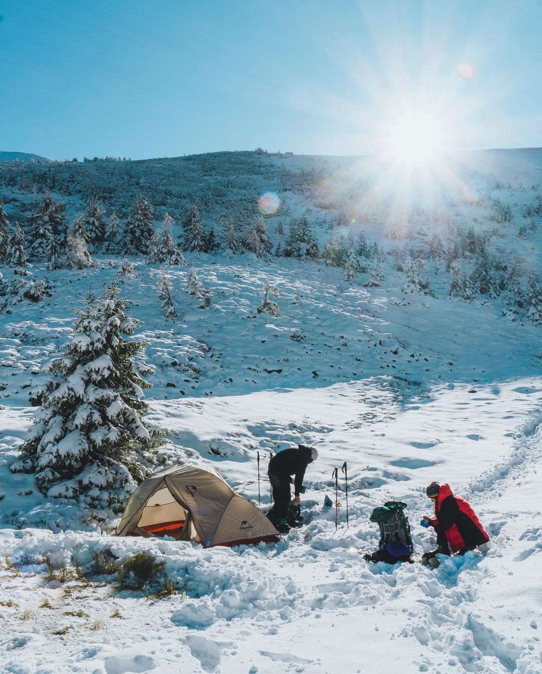 Зима в ноябре: регион Украины засыпает пушистым снегом (фото)
