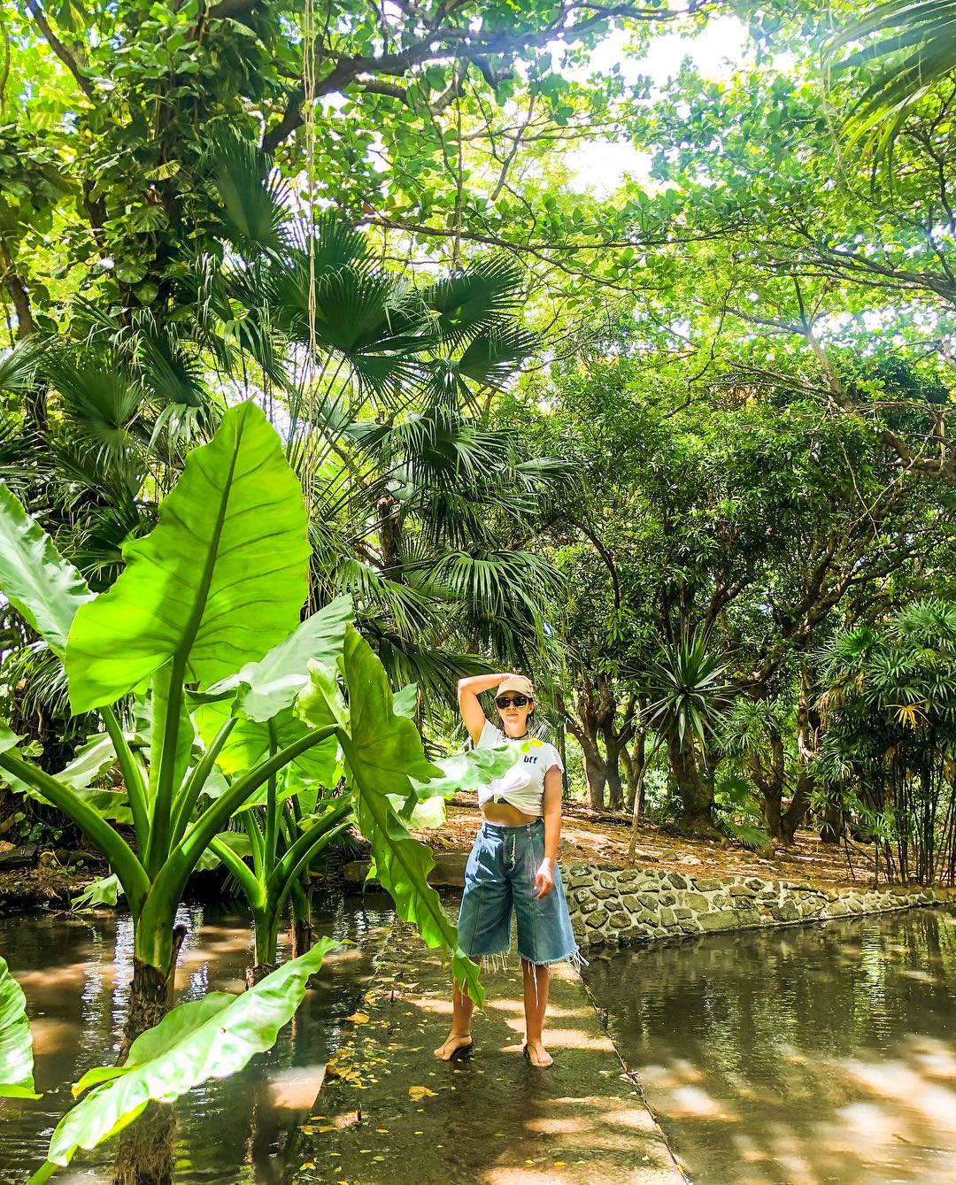 "Вражаюча природа": Джамала похвалилася захоплюючими видами Маврикія (фото)