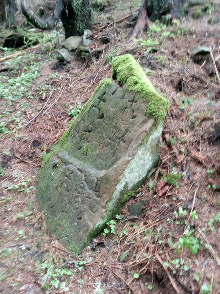 В Карпатах туристы наткнулись на загадочные наскальные рисунки: срочно надо вызвать Дэна Брауна