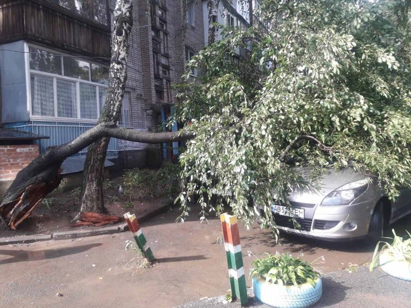 В Виннице дерево упало и накрыло троллейбус с людьми: фото и видео последствий стихии