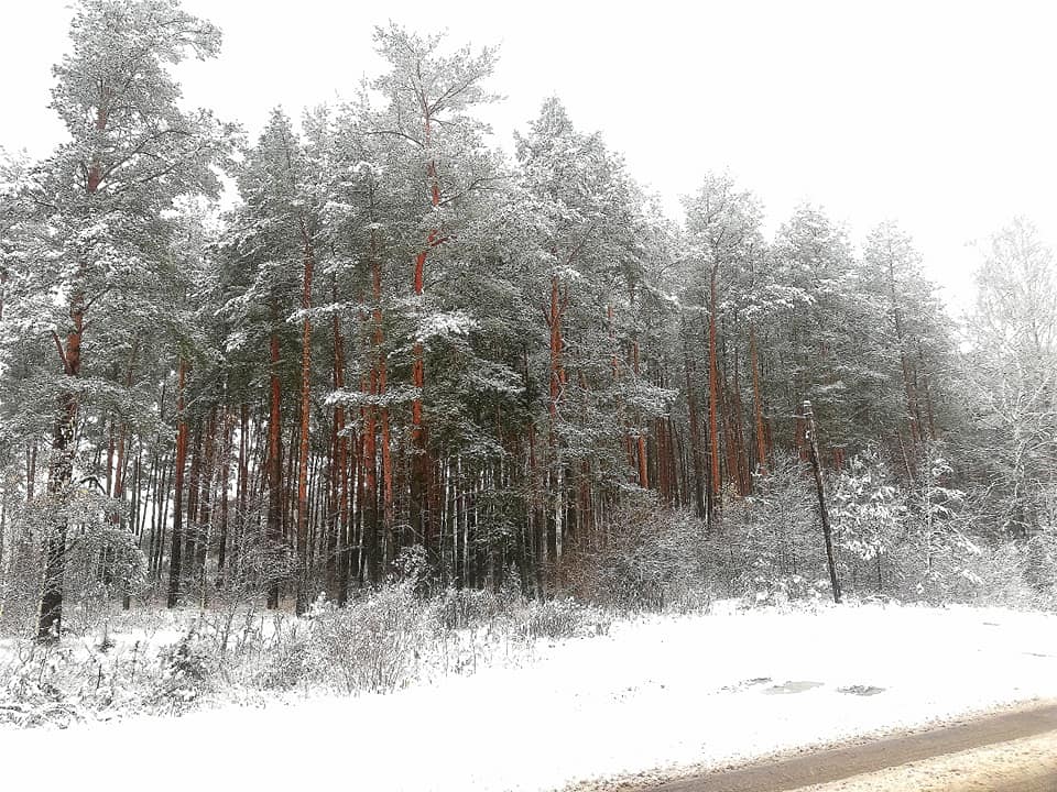 В Украину пришла сказочная зима: на фото попали невероятные пейзажи