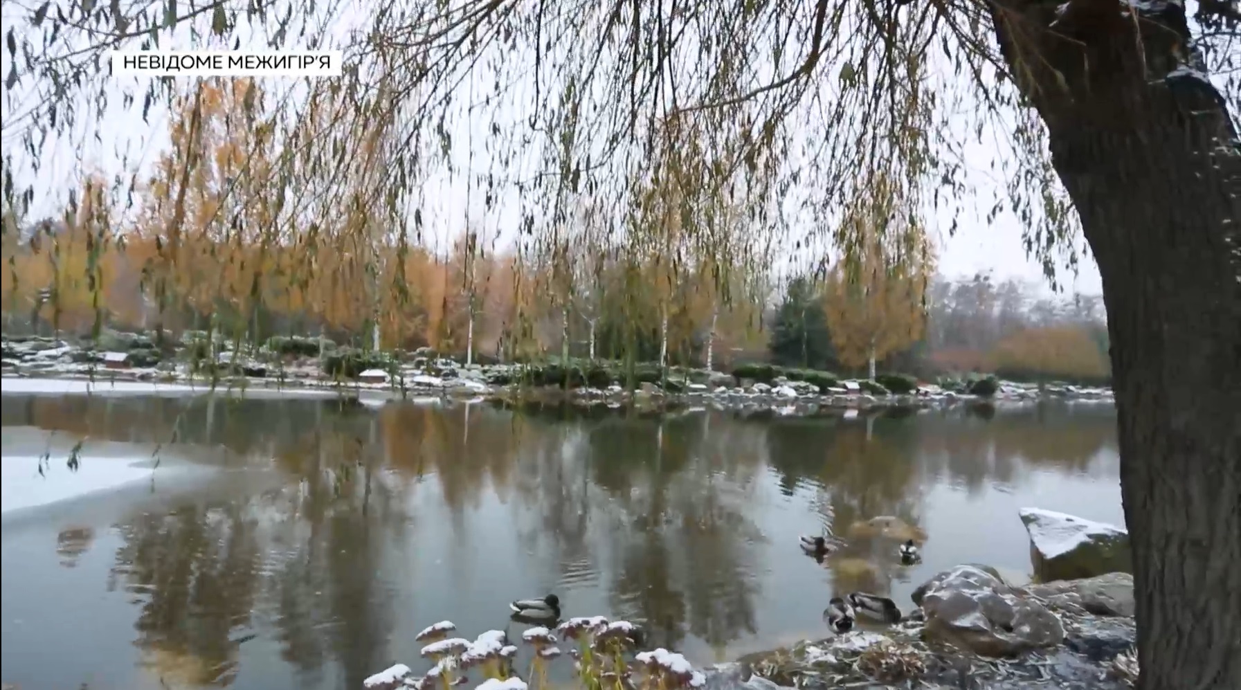 Украинцам показали, как выглядит Межигорье после бегства Януковича