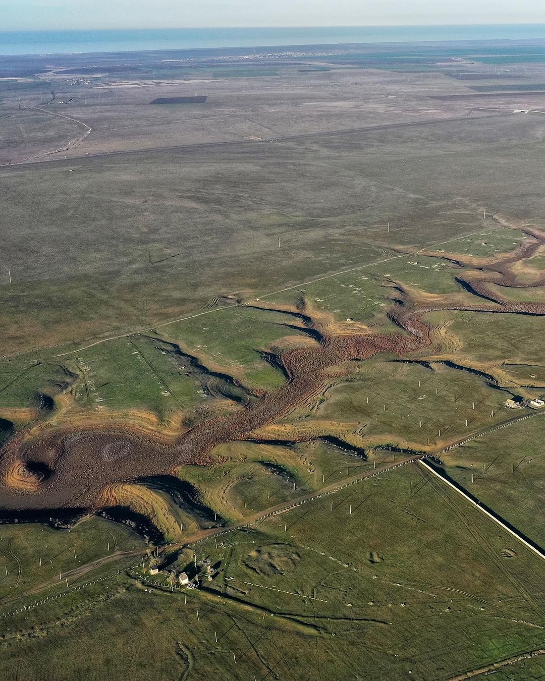 В Крыму высохло большое пресное озеро: на дне растут деревья