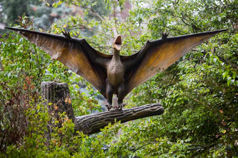 На ВДНГ можно будет исследовать жизнь динозавров