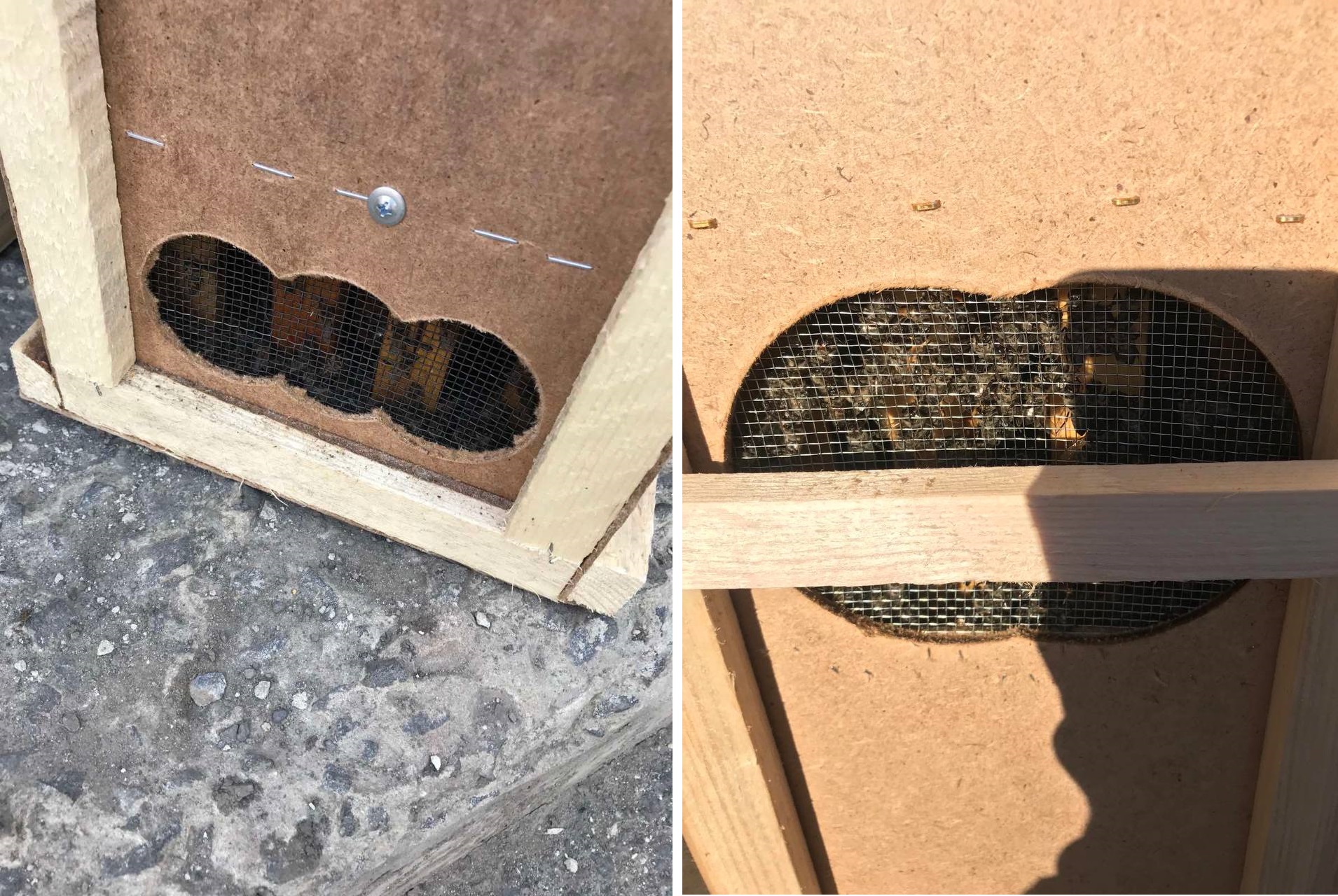 Укрпочта погубила 8 млн пчел: последствия халатности показали на фото