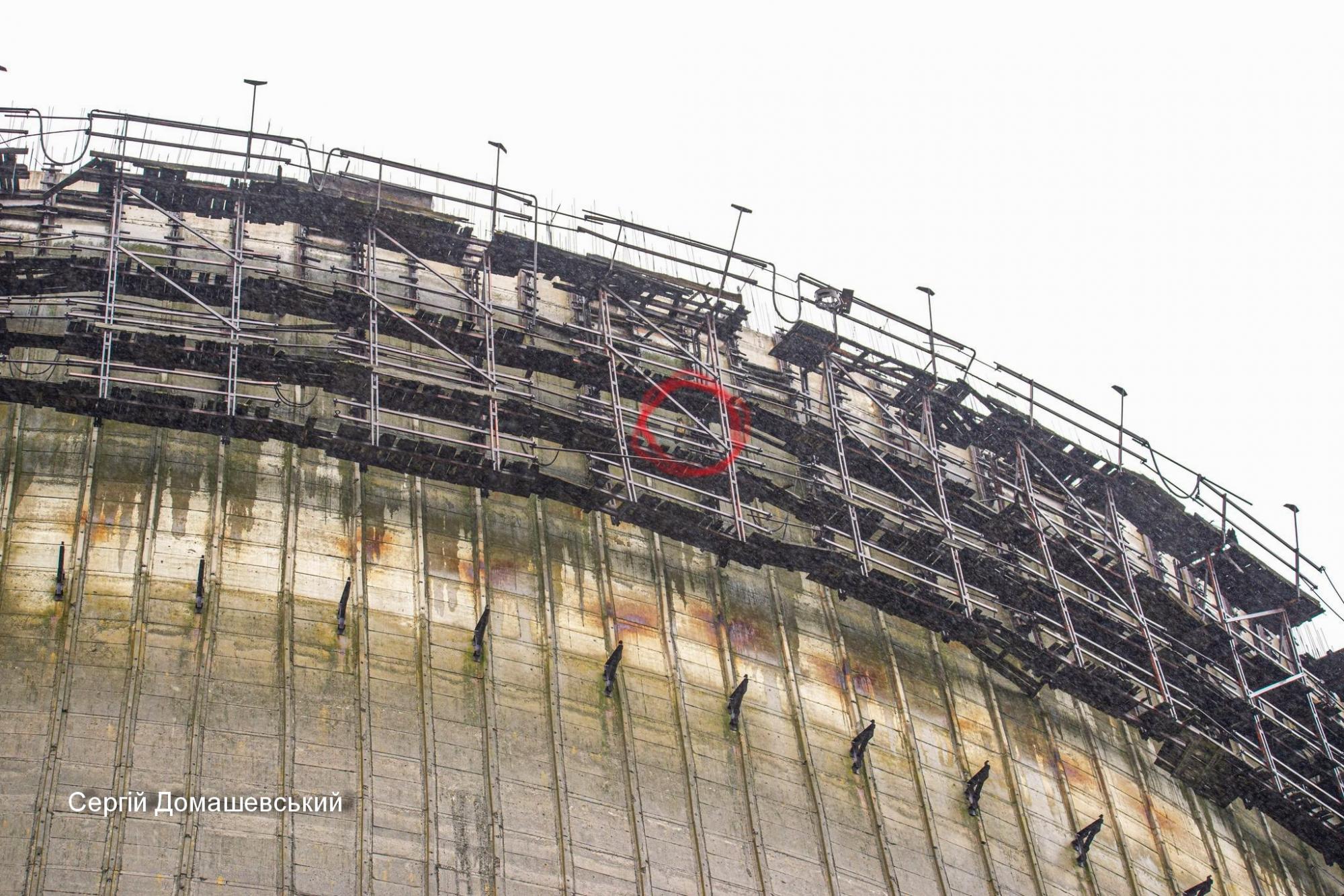 В Чернобыле огромная хищная птица поселилась прямо на градирне ЧАЭС (фото)