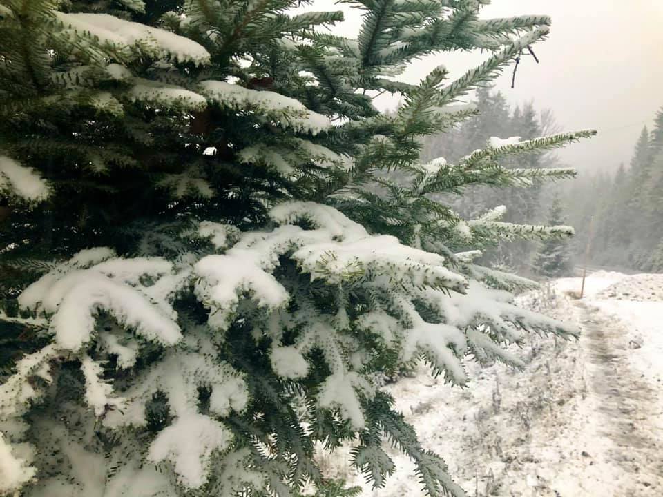 Украину засыпает снегом: живописные зимние фото