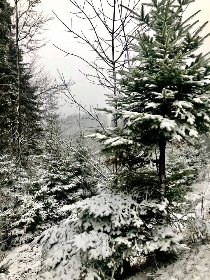 Украину засыпает снегом: живописные зимние фото