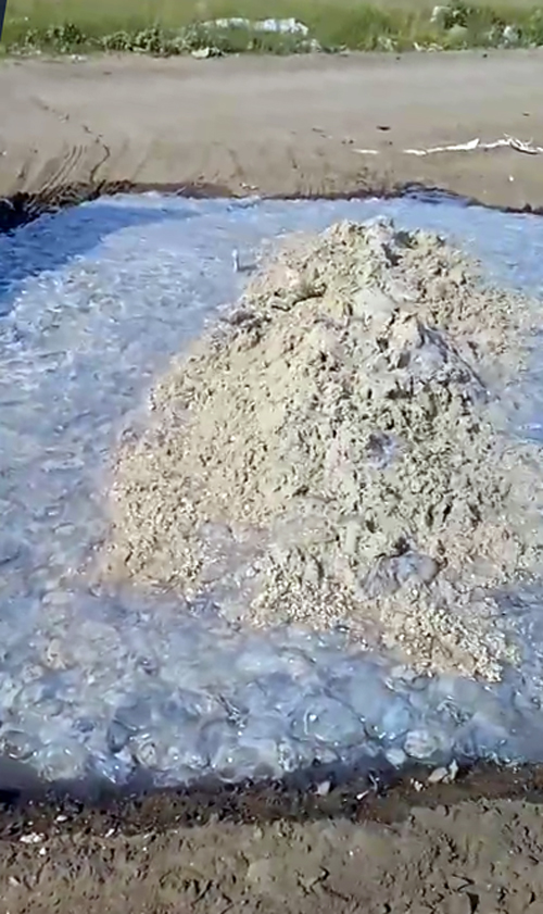 В Кирилловке обиделись на митинги из-за медуз и показали, как решают проблему (видео и фото)