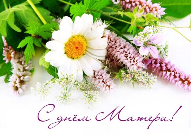 День матери: красивые поздравления в открытках и стихах для любимых мам