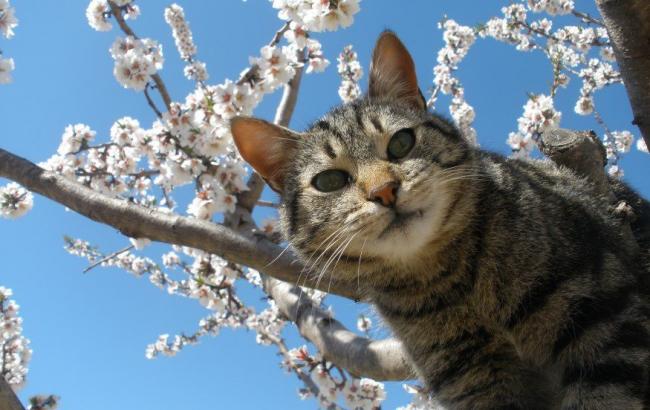 Итоги дня: 20 апреля