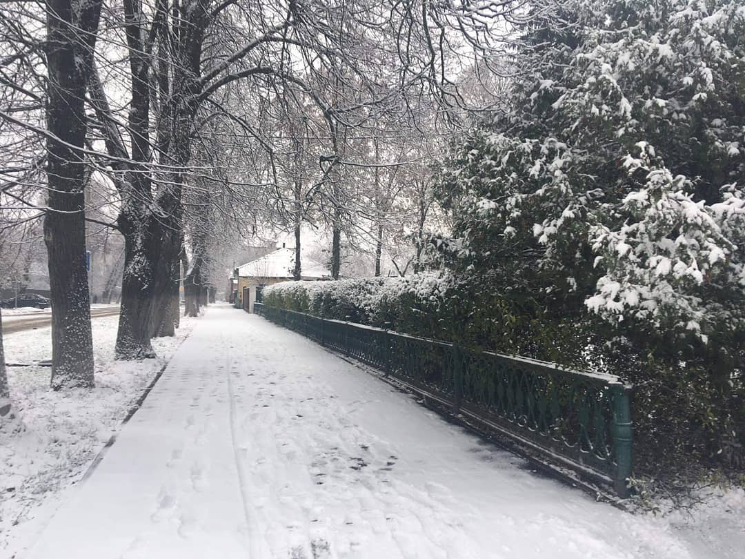 В Украину пришла сказочная зима: на фото попали невероятные пейзажи