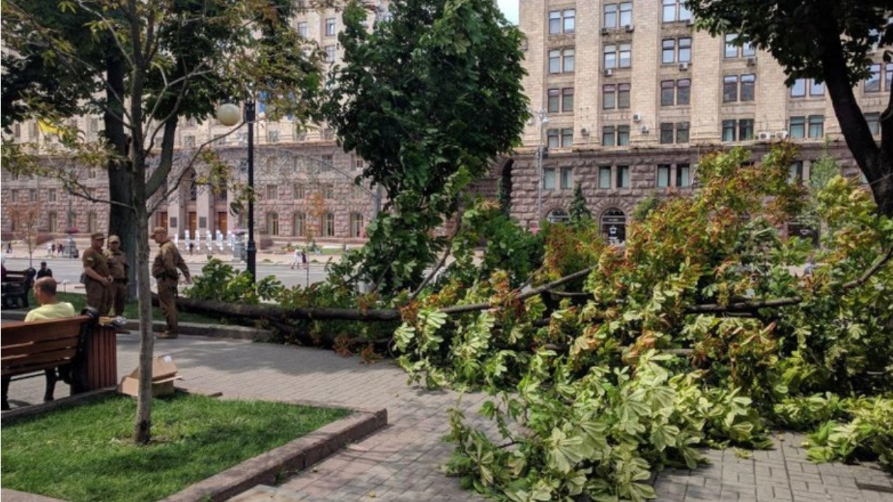 Вітер повалив величезний каштан на Хрещатику: фото НП під Київрадою