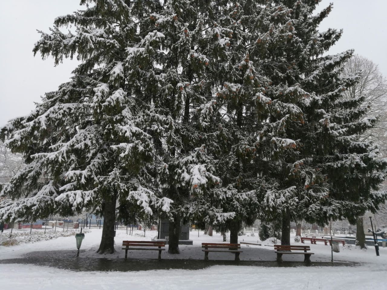 В Украину пришла сказочная зима: на фото попали невероятные пейзажи