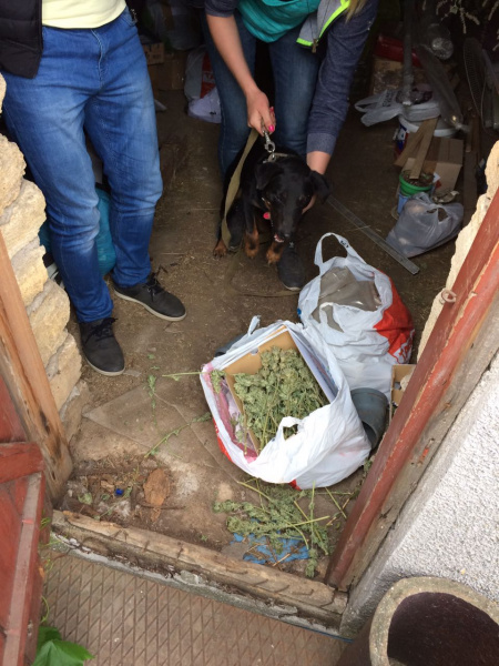 Кримські правозахисники розповіли про ще одного "українського диверсанта"