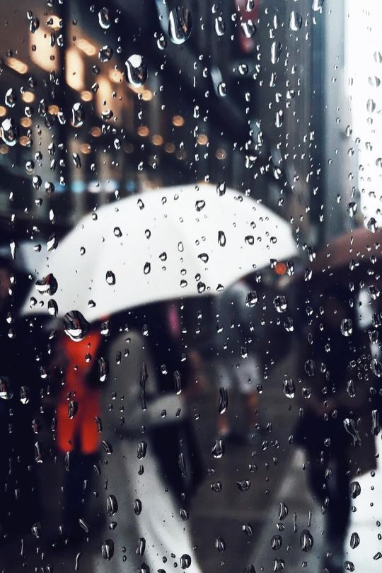 В Україні оголосили штормове попередження: де розгуляється негода