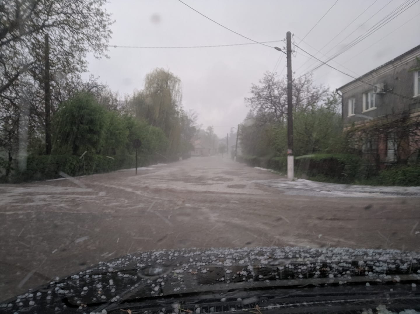 Повалені дерева, град і потоки: жахливі наслідки стихії в Україні