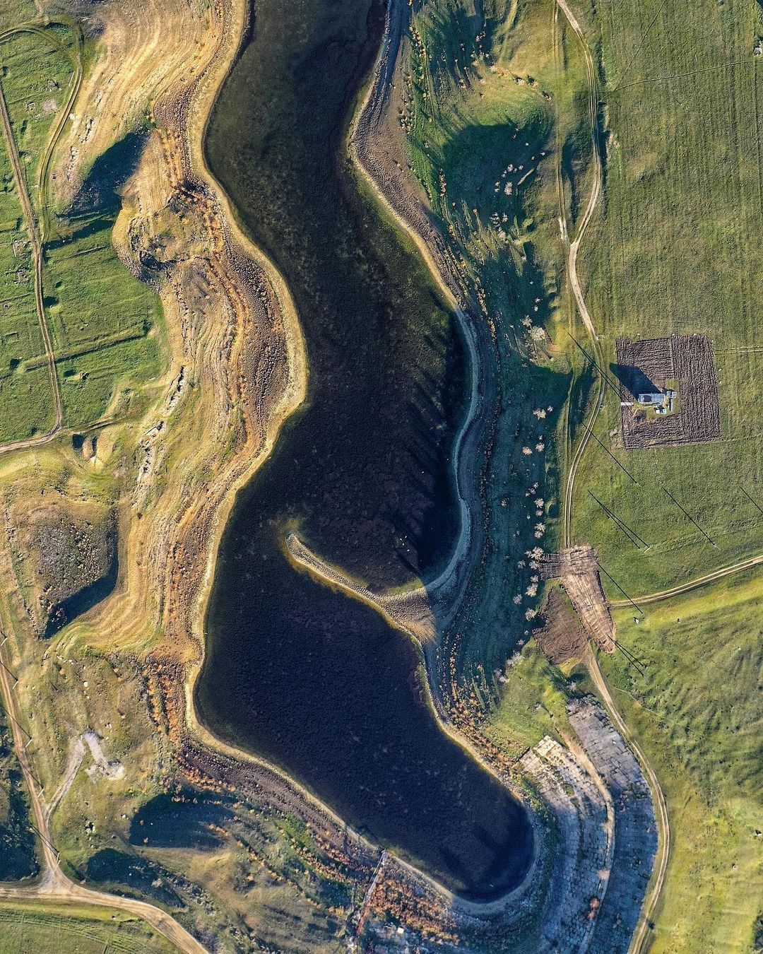 В Крыму высохло большое пресное озеро: на дне растут деревья