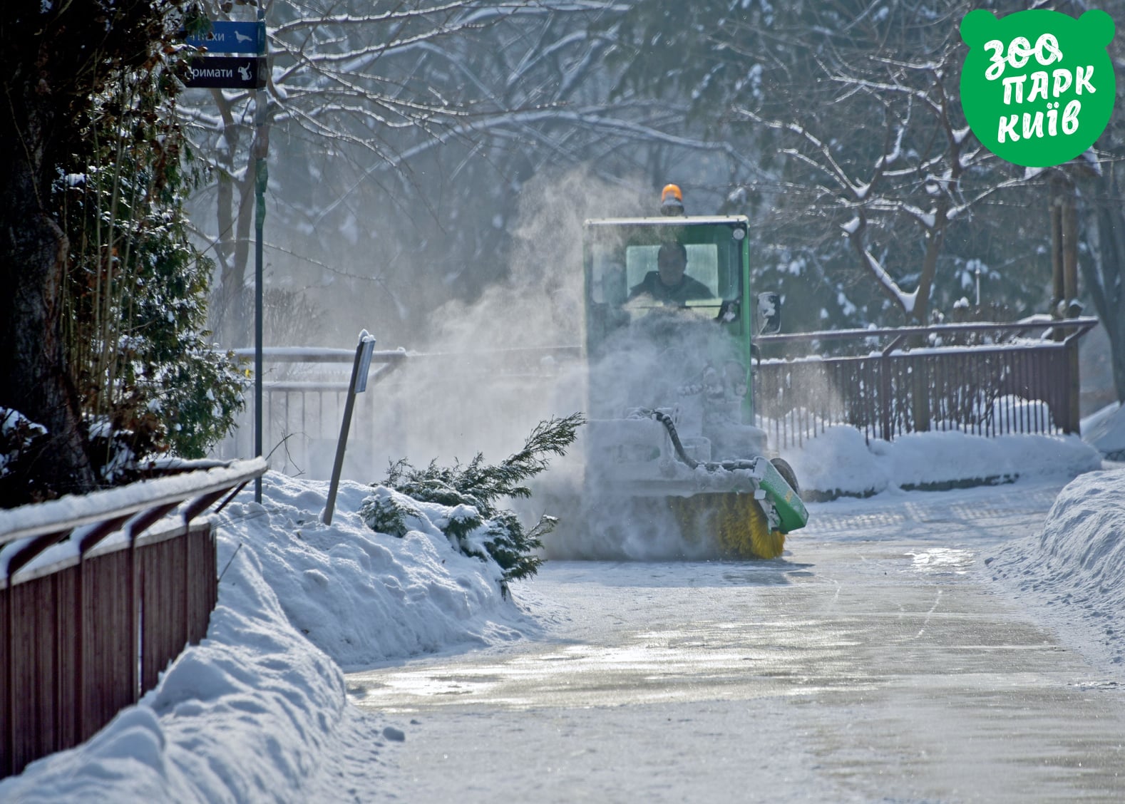 Эти невероятно красивые фото с заснеженного киевского зоопарка поднимут вам настроение