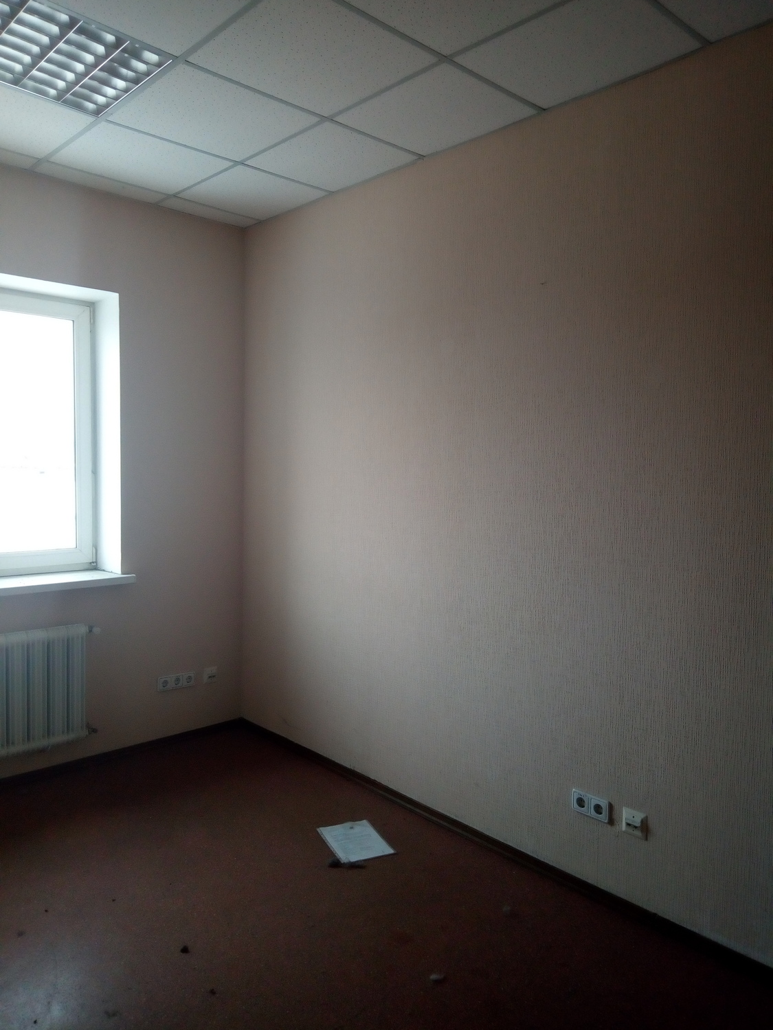 Хочу открыть свой бизнес в "Борисполе": сколько стоит аренда небольшого помещения