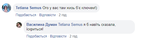 Под Винницей загорелась электричка с пассажирами: пожарным не хватило воды (фото)